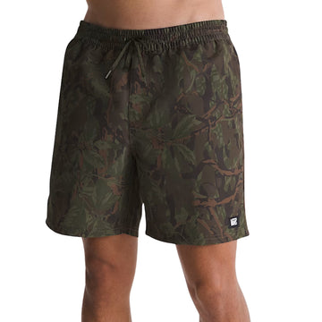 Obsidian Fern Green