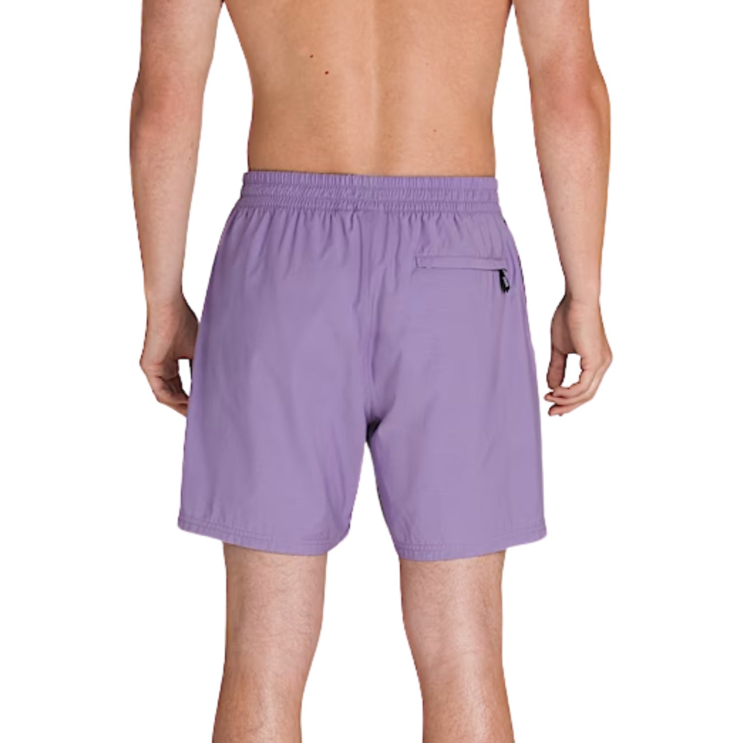 Purple Haze