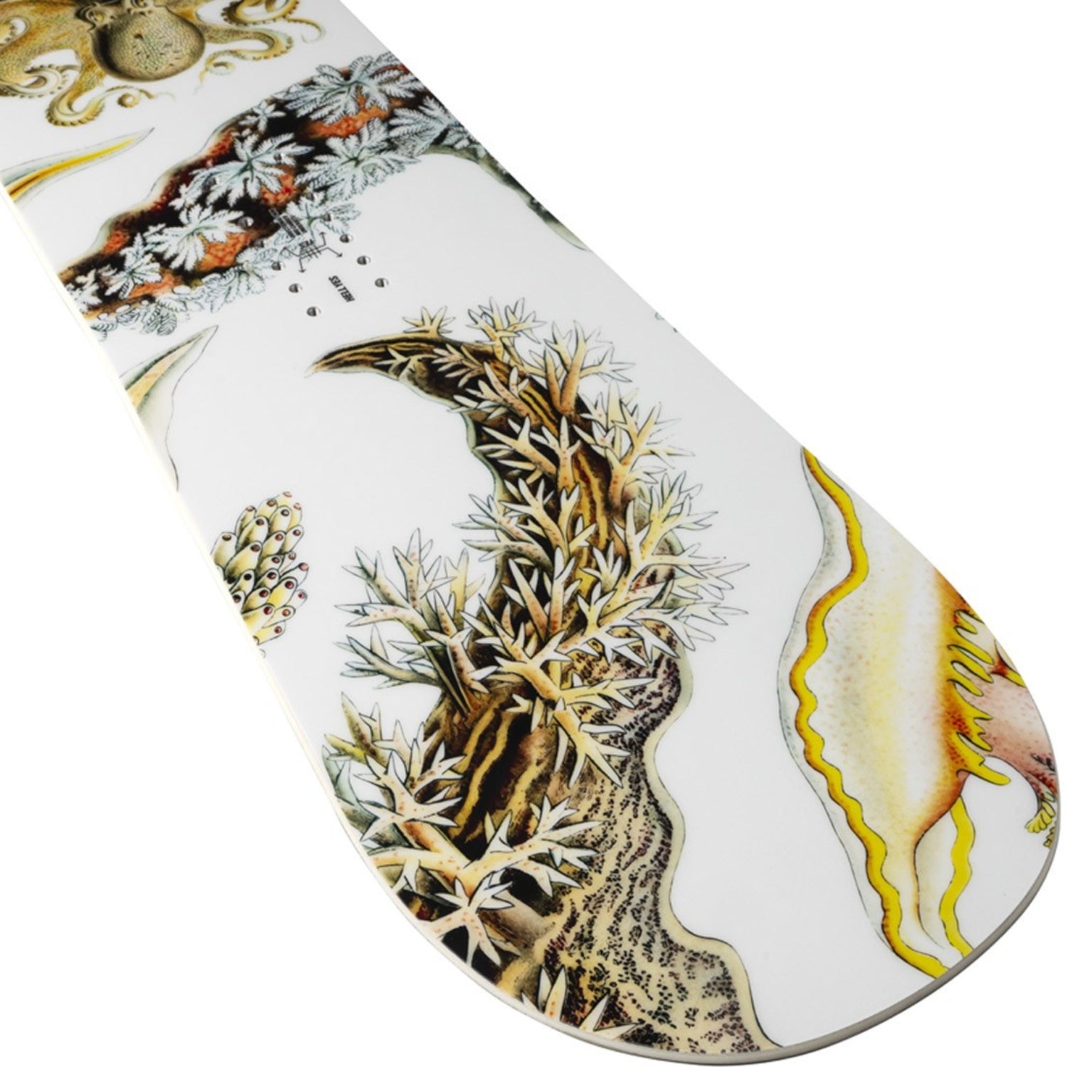 Yes. Hel Yes Snowboard 2026 - Women's