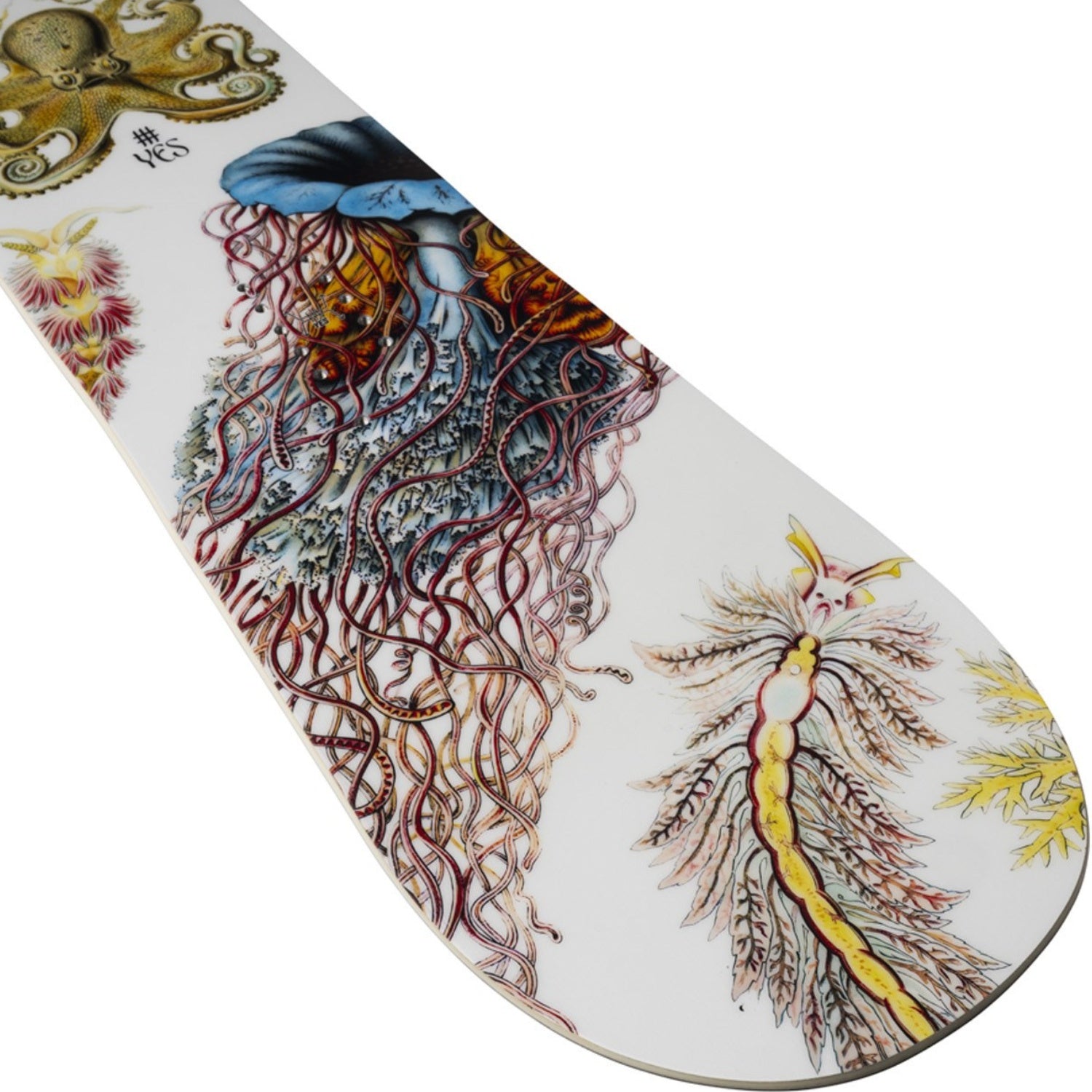 Yes. Hel Yes Snowboard 2026 - Women's