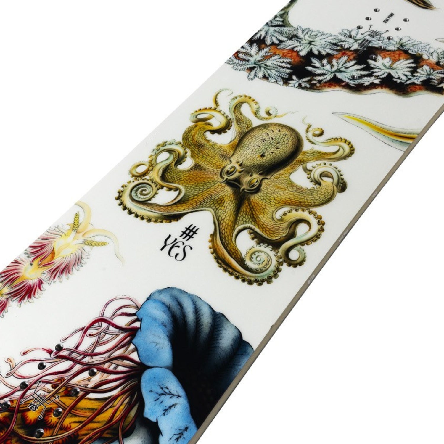 Yes. Hel Yes Snowboard 2026 - Women's