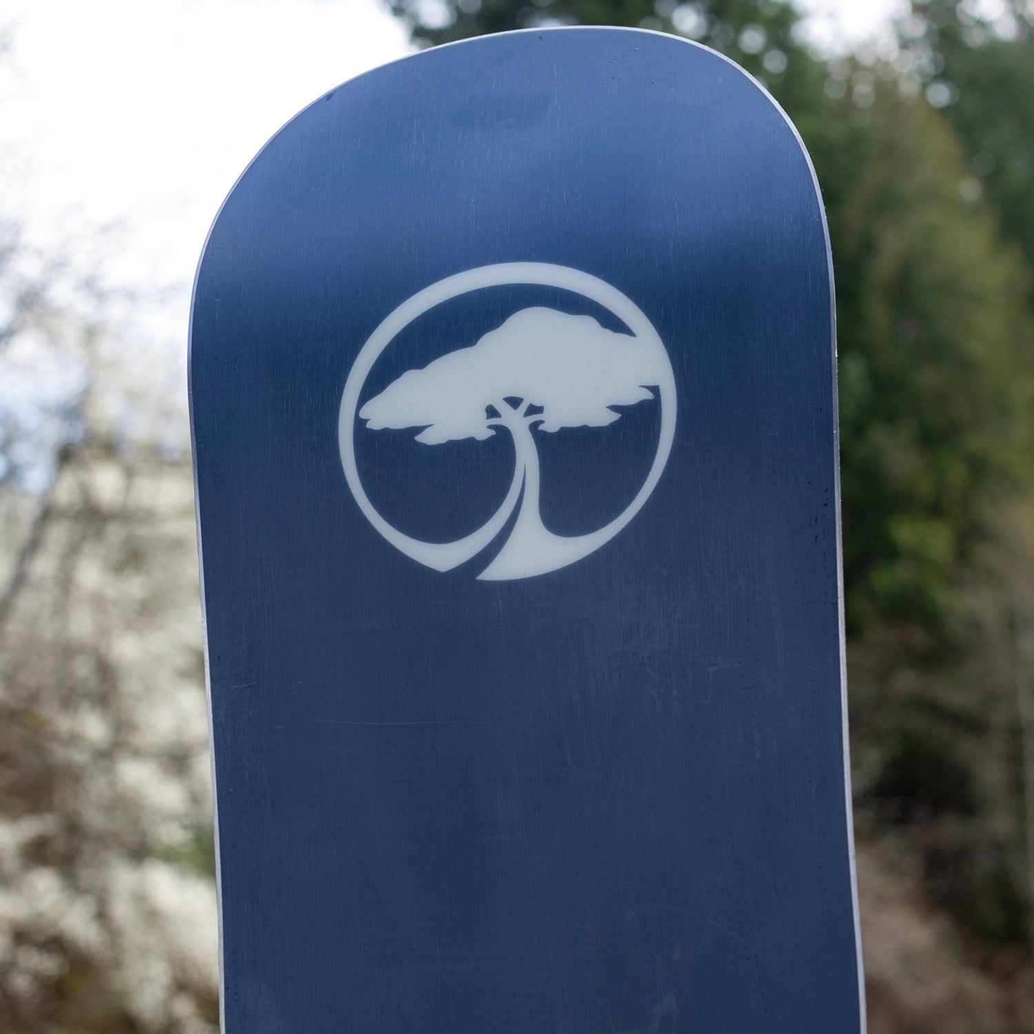 Arbor Cadence Camber 2024 - Women's Snowboard