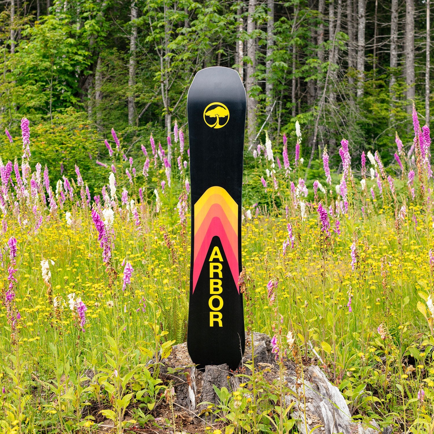 Arbor Shiloh Camber 2024 - Men's Snowboard