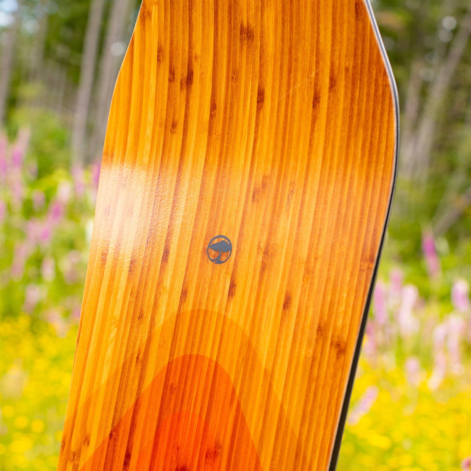 Arbor Shiloh Rocker 2024 - Men's Snowboard