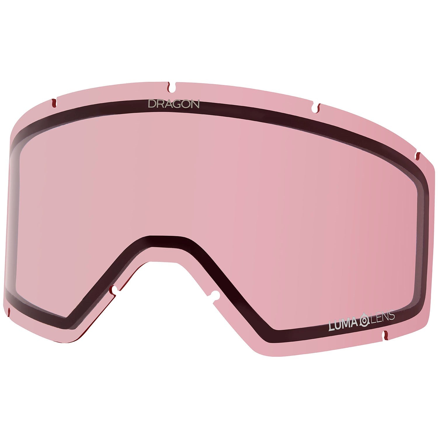 Blizzard /LLMidnight + Light Rose