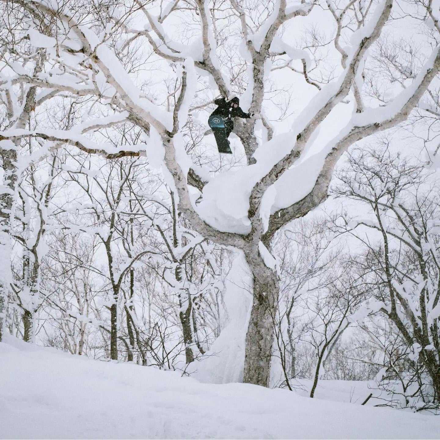 Nidecker Escape Plus Snowboard 2025 - Men's