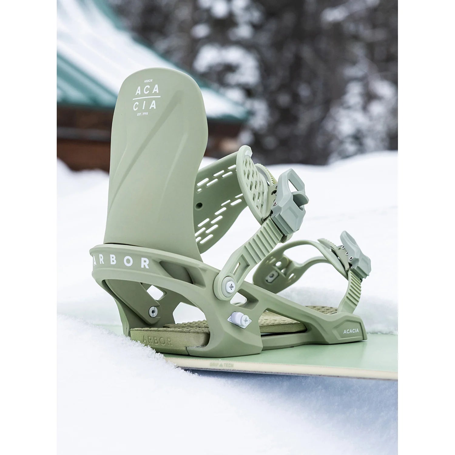 Sage/White