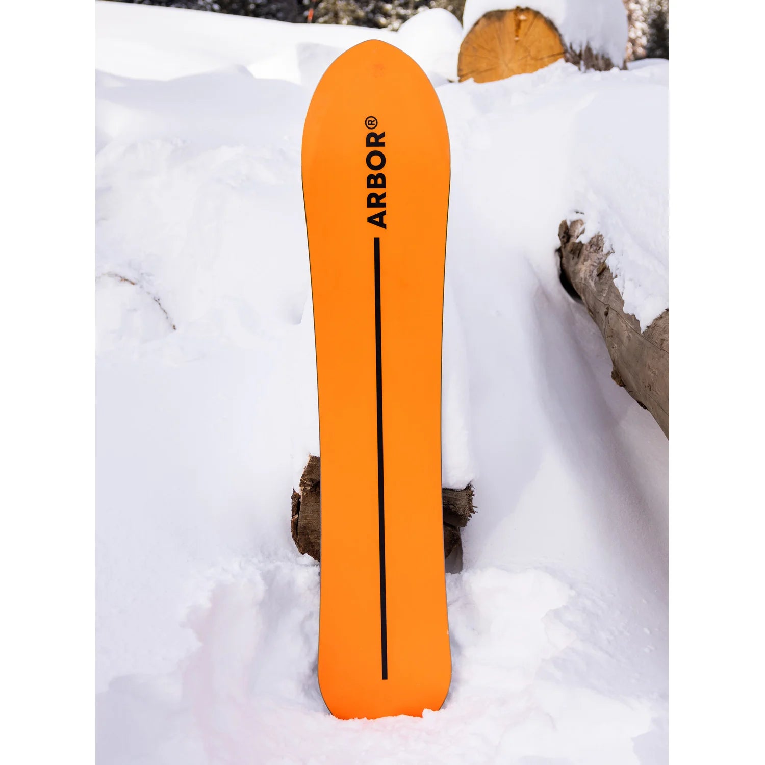 Arbor Rooster Fish Snowboard 2027 - Men's