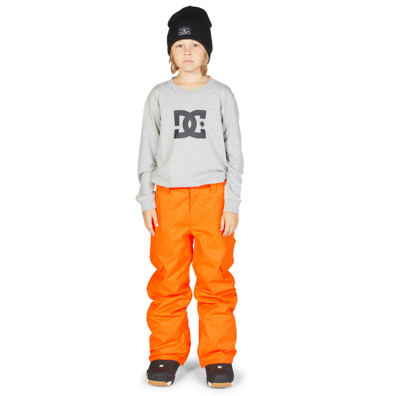 DC Banshee Pant 2023 - Boy's Snowboard Pants