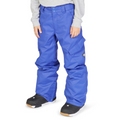 DC Banshee Pant 2023 - Boy's Snowboard Pants