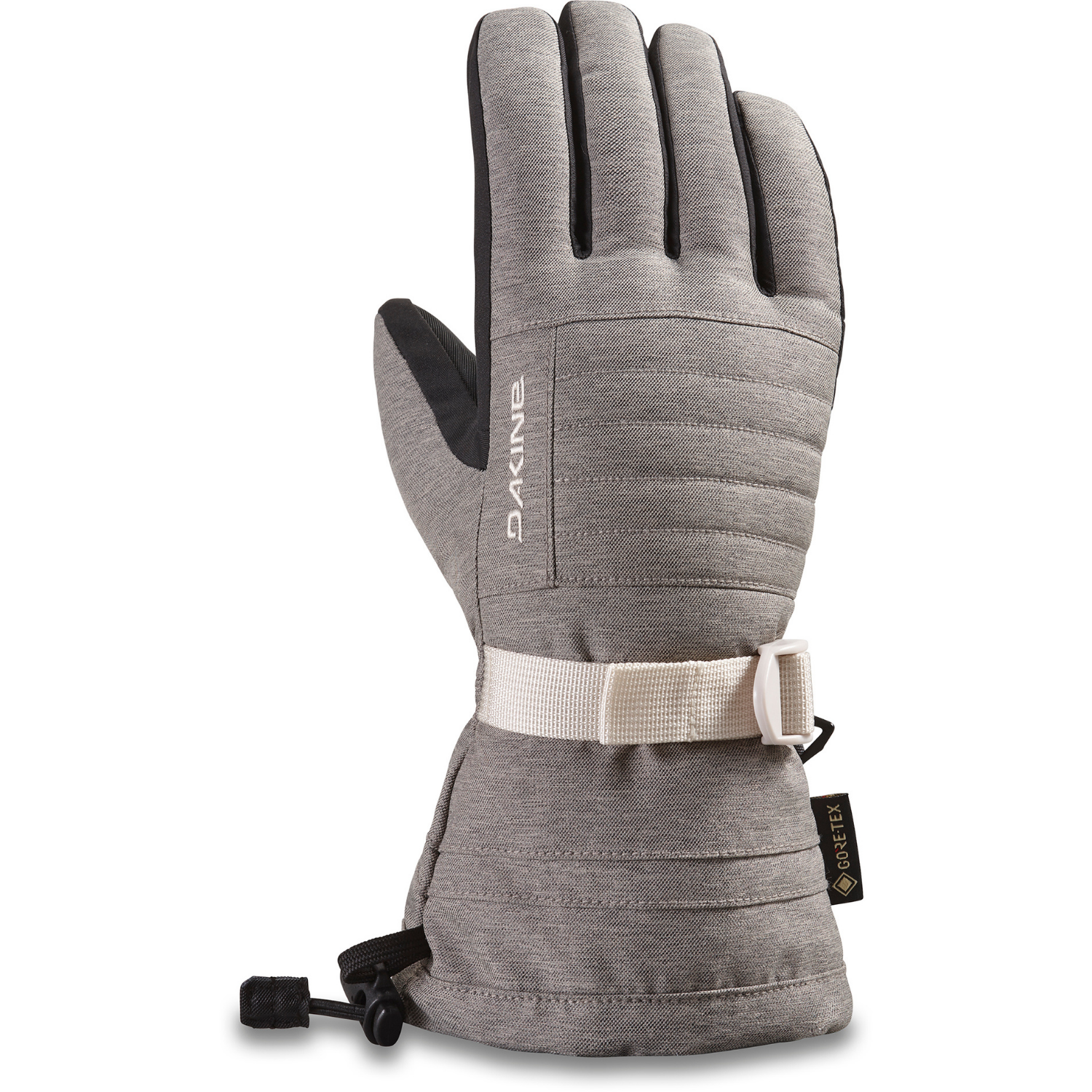 Dakine Omni Gore-Tex 2022 Women's Gloves