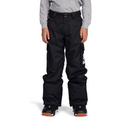 DC Banshee Pant 2022 - Boy's Snowboard Pant