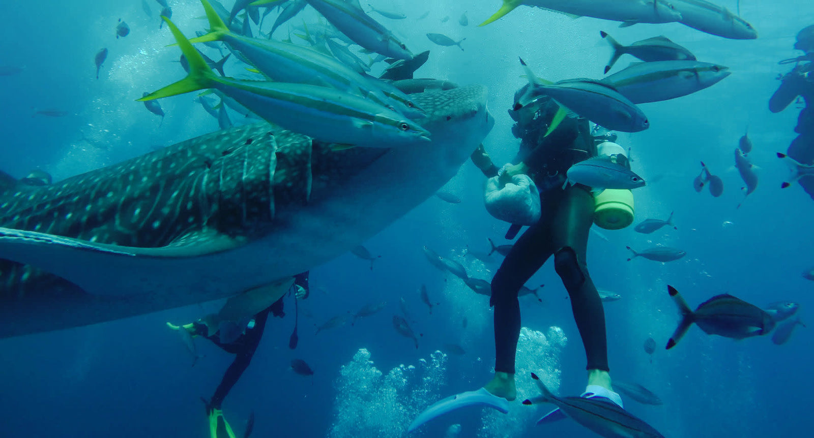 GoPro Super Suit Protection+Dive Housing